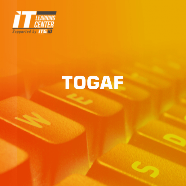 Mengenal TOGAF Framework