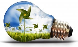 environment-energy-light-bulb-with-paddy-rice